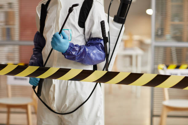 Professional Sewage Cleanup technician working in Alton Bay, NH